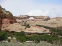 Another Arch